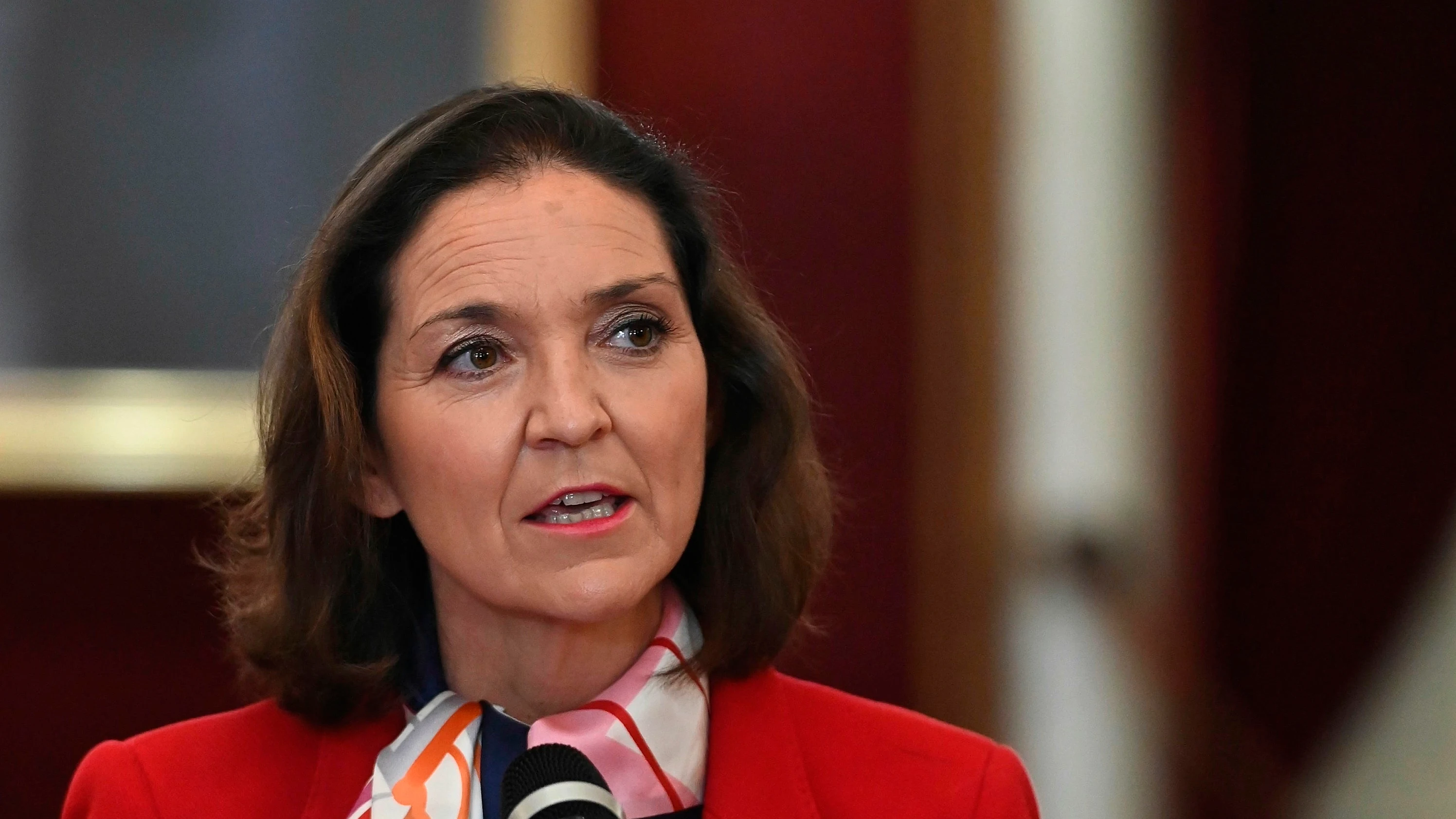 La ministra de Industria, Comercio y Turismo, Reyes Maroto durante su intervención en su visita a Alcalá de Henares La ministra de Industria, Comercio y Turismo, Reyes Maroto durante su intervención en su visita a Alcalá de Henares
