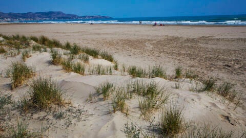 Playa del Pinar