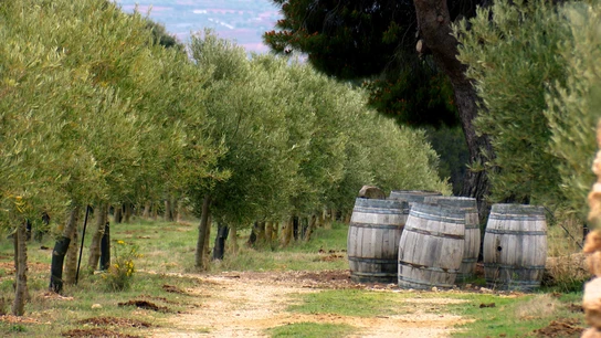 Emprendimiento ecológico: la solución de Europa para atajar la desigualdad entre hombres y mujeres Emprendimiento ecológico: la solución de Europa para atajar la desigualdad entre hombres y mujeres
