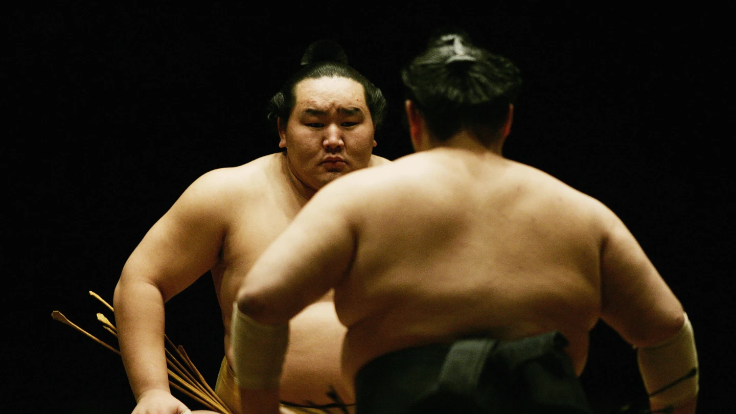 Combate de sumo Combate de sumo
