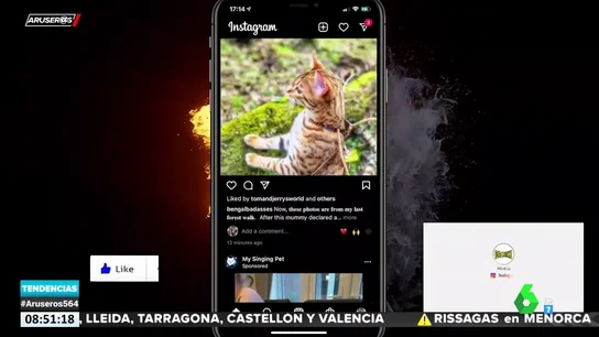 INSTAGRAM INSTAGRAM