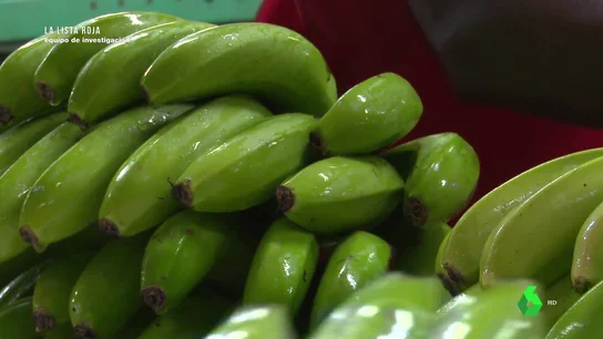 Plátanos de Canarias Plátanos de Canarias