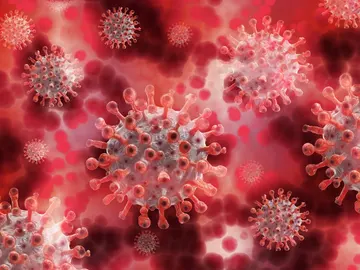 Coronavirus Coronavirus
