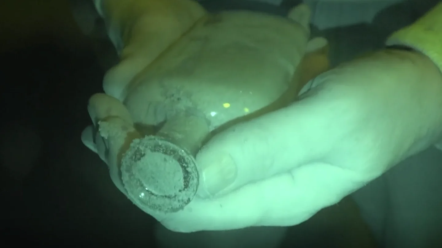 Una de las botellas enterradas como parte de un experimento de la Universidad de Michigan State Una de las botellas enterradas como parte de un experimento de la Universidad de Michigan State