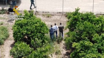 La Guardia Civil detiene a un narcotraficante que llevaba desde julio huido