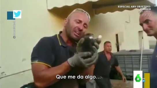 Así fue el enternecedor momento en el que un bombero se emociona al rescatar a un gato bebé Así fue el enternecedor momento en el que un bombero se emociona al rescatar a un gato bebé