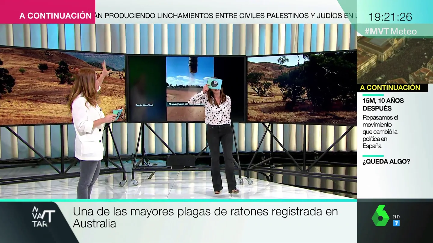 Mamen ratones Mamen ratones