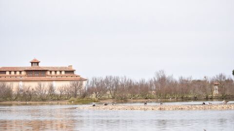 Laguna de Villafáfila