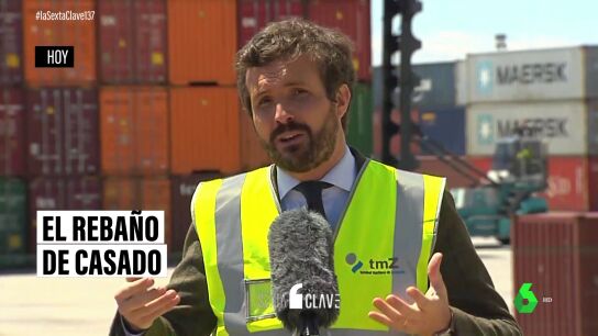 Casado pide a S&aacute;nchez que no hable de "inmunidad de reba&ntilde;o": todas las veces que los dirigentes del PP han usado esta expresi&oacute;n
