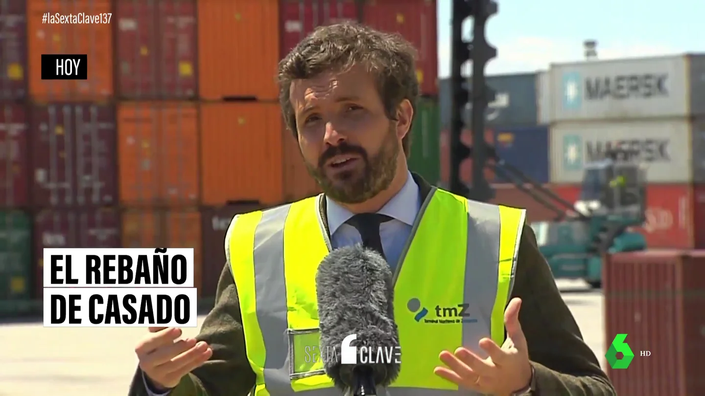 Casado pide a Sánchez que no hable de "inmunidad de rebaño": todas las veces que los dirigentes del PP han usado esta expresión Casado pide a Sánchez que no hable de "inmunidad de rebaño": todas las veces que los dirigentes del PP han usado esta expresión