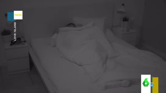 Love Island Love Island