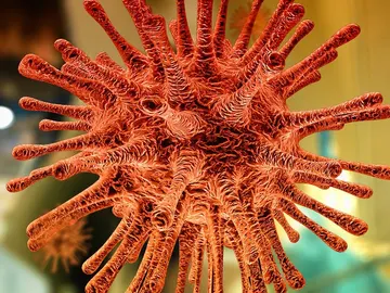 Coronavirus Coronavirus