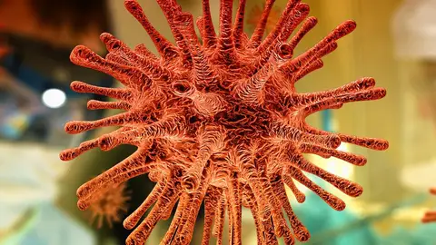 Coronavirus Coronavirus