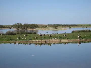 Lagunas de Villafáfila Lagunas de Villafáfila