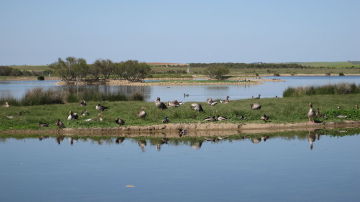 Lagunas de Villafáfila