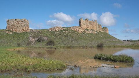 Castrotorafe