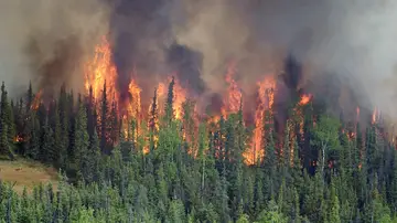 Incendio forestal en un bosque boreal de Alaska