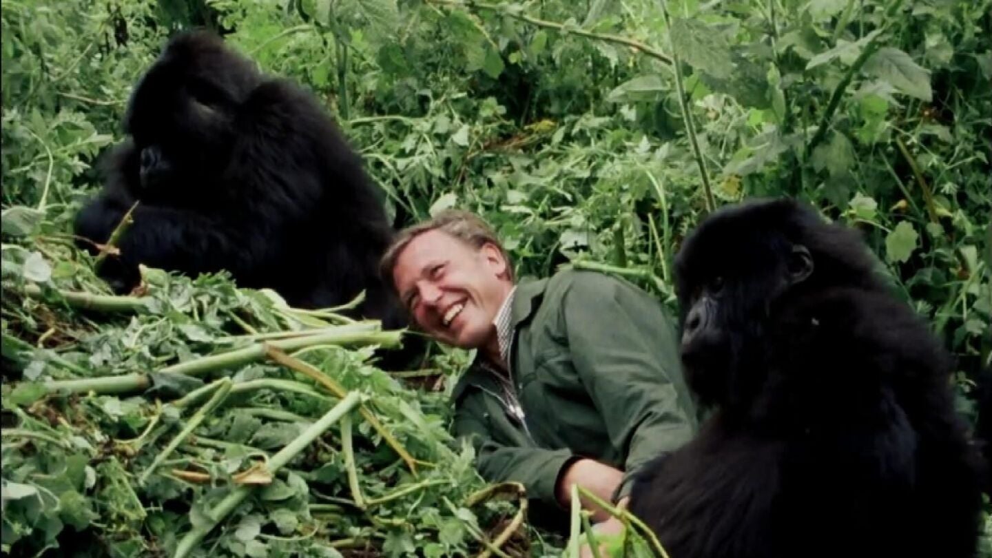 David Attenborough Documental 'Una vida en nuestro planeta'