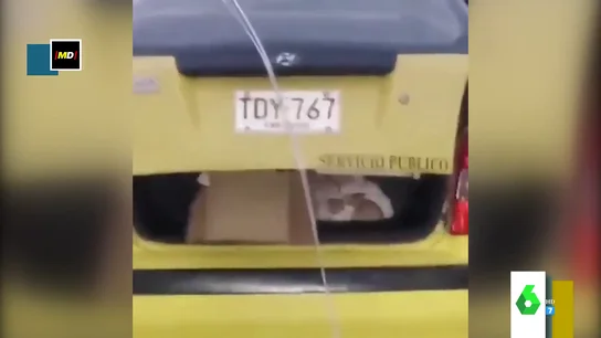 taxi taxi