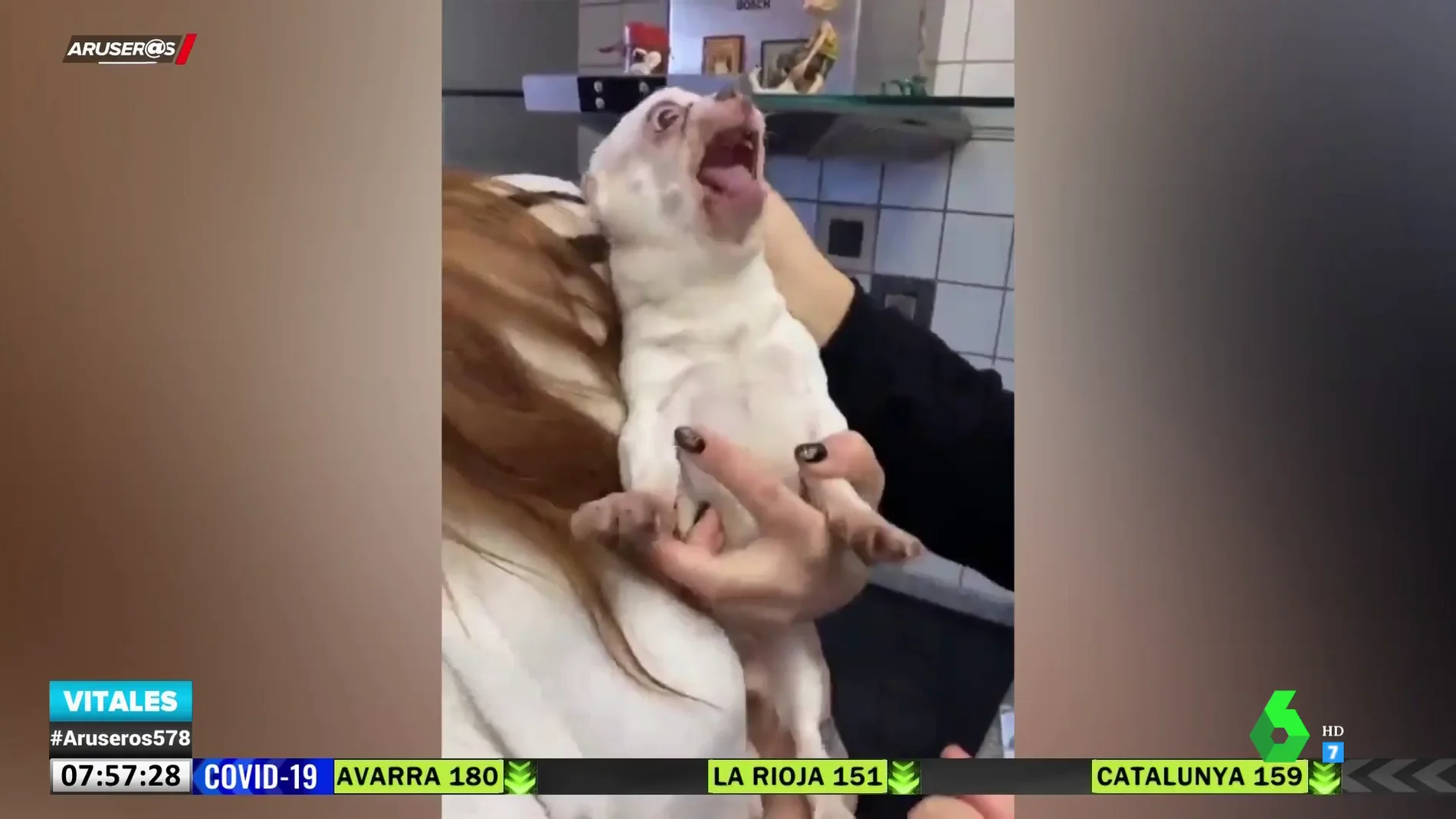 La increíble reacción de un perro al ver que le tienen que pinchar en el veterinario