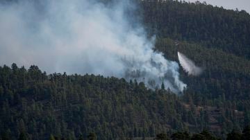 El incendio forestal declarado el jueves en el municipio tinerfeño de Arico ha avanzado durante la noche hasta afectar 2.800 hectáreas