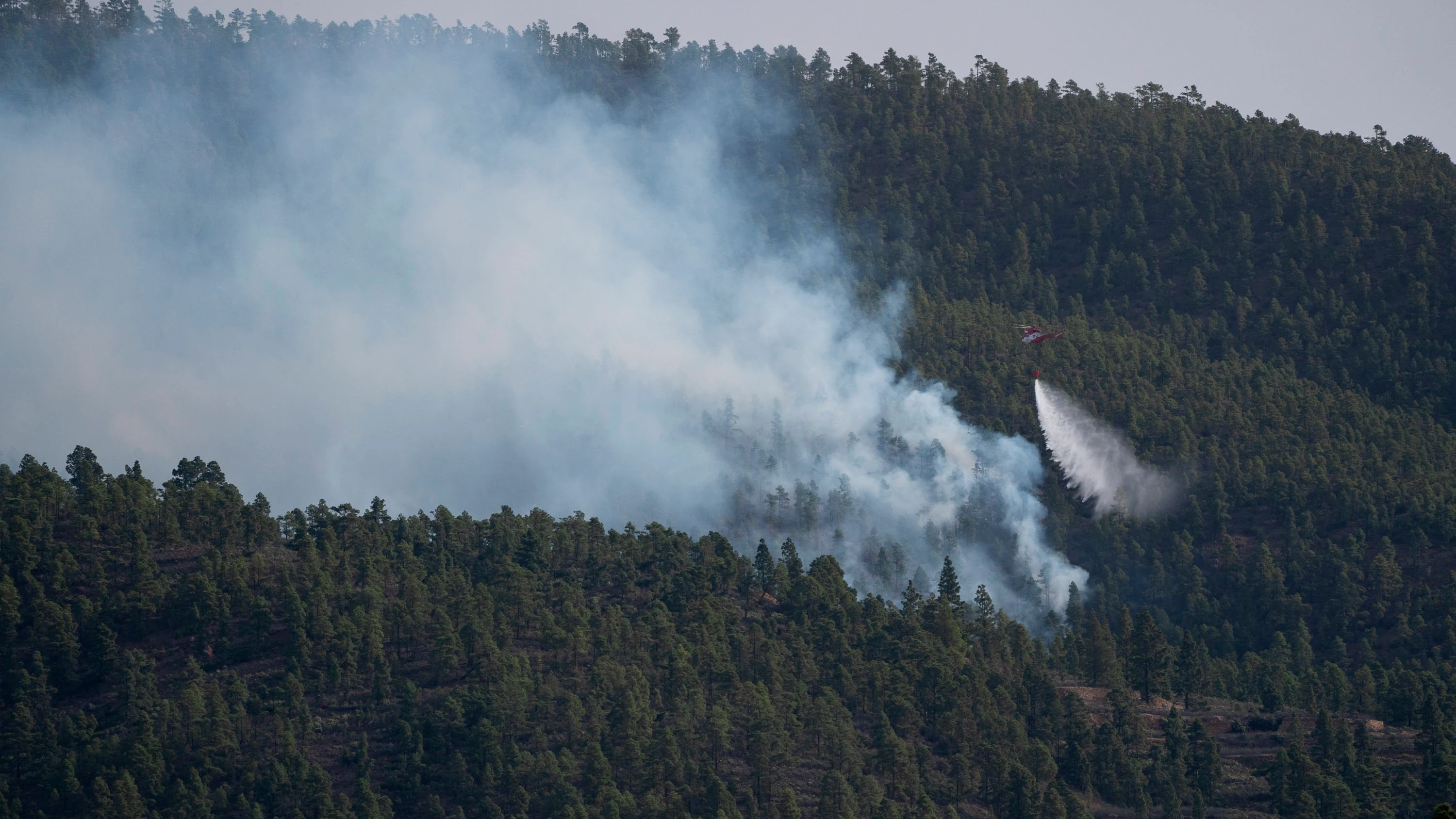 El incendio forestal declarado el jueves en el municipio tinerfeño de Arico ha avanzado durante la noche hasta afectar 2.800 hectáreas