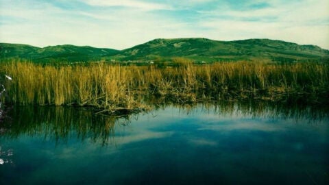 Laguna de Caracuel
