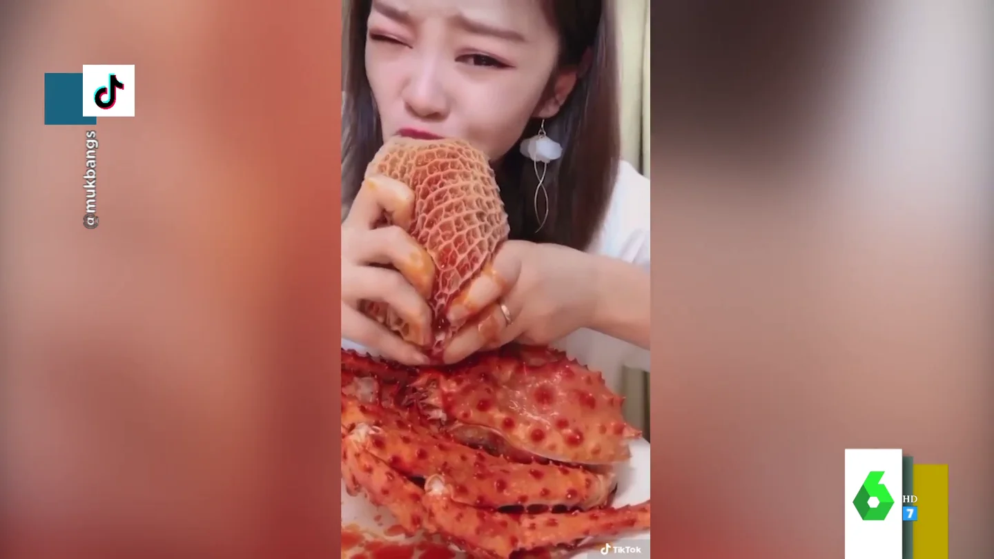 El asqueroso vídeo de una joven que engulle animales vivos como chipirones o cangrejos: "Mirad cómo intentan huir" El asqueroso vídeo de una joven que engulle animales vivos como chipirones o cangrejos: "Mirad cómo intentan huir"