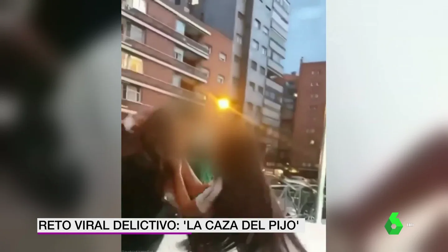 caza del pijo caza del pijo