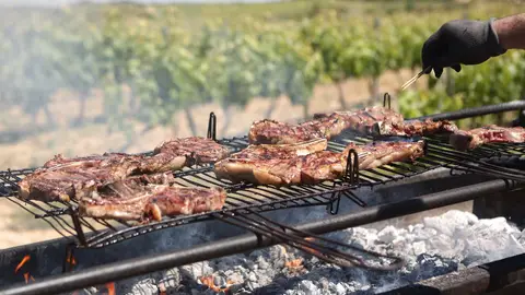 Turismo gastronómico en Rioja Alavesa Turismo gastronómico en Rioja Alavesa