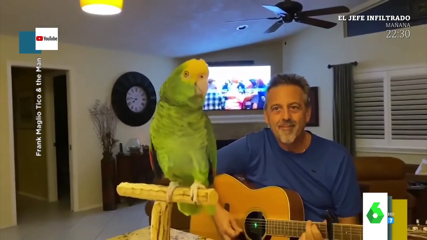 Loro Loro