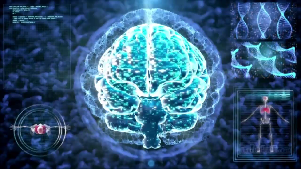 Nuestro cerebro tiene más cosas en común con los testículos de lo que imaginábamos