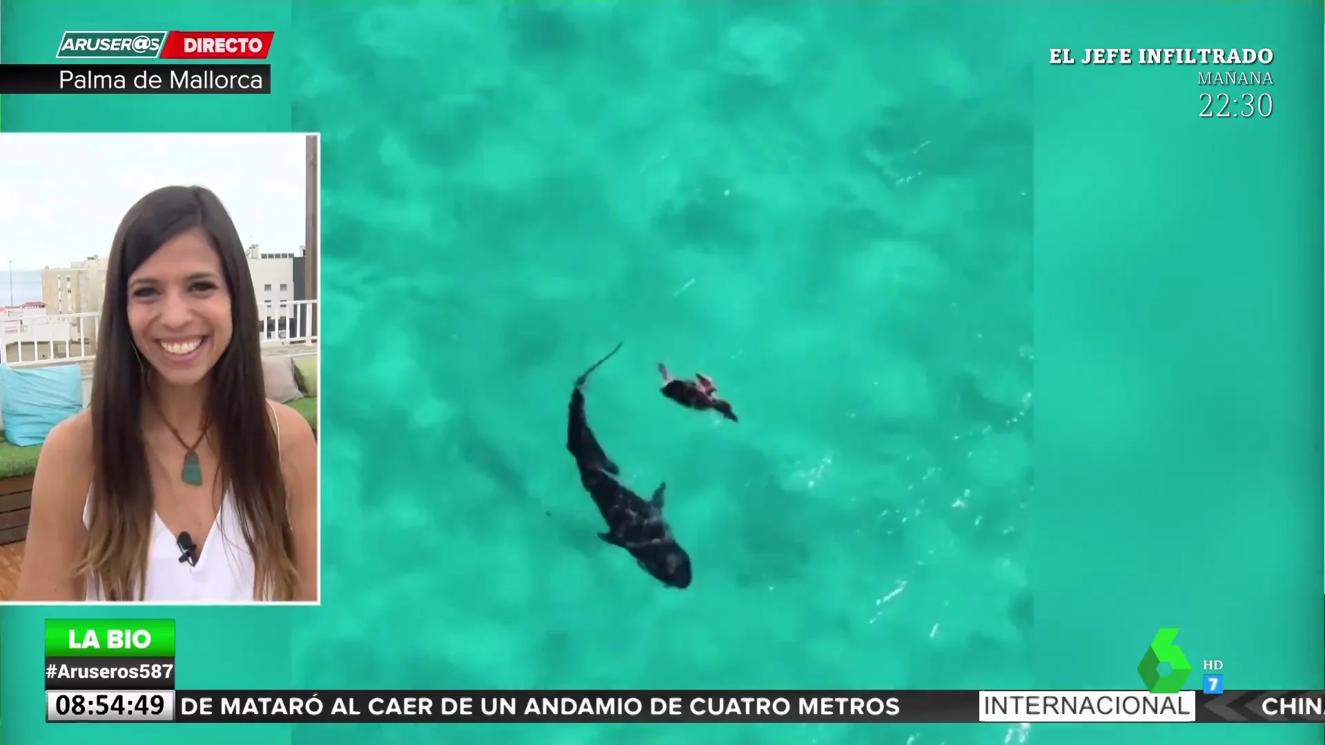 El truco de una tortuga para evitar ser engullida por un tiburón