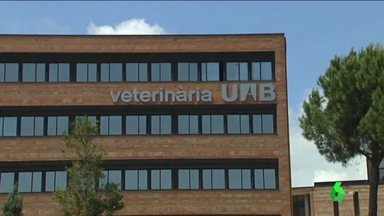 acoso profesor acoso profesor