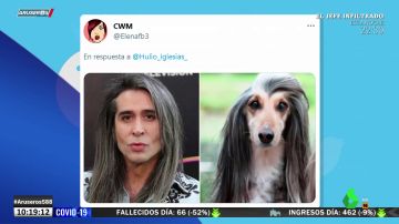 ¿A qué famosos se parecen estos perros? Twitter tiene la respuesta