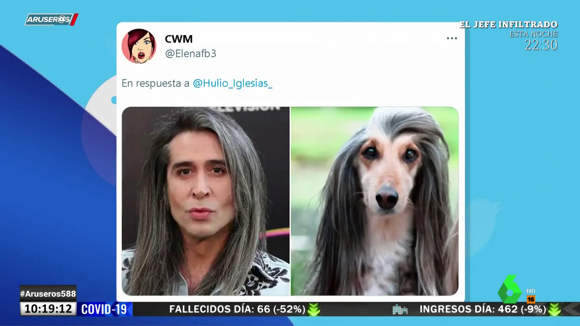 ¿A qué famosos se parecen estos perros? Twitter tiene la respuesta