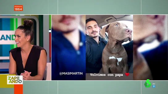 El arrepentimiento de un ladrón tras robar a una perra y devolverla a su dueño: "No sé qué me pasó por la cabeza" El arrepentimiento de un ladrón tras robar a una perra y devolverla a su dueño: "No sé qué me pasó por la cabeza"