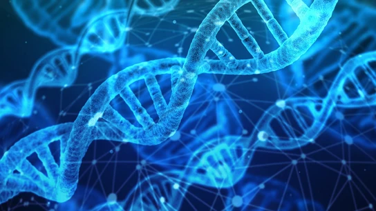Científicos crean la primera forma de vida sintética inmune a los virus Científicos crean la primera forma de vida sintética inmune a los virus