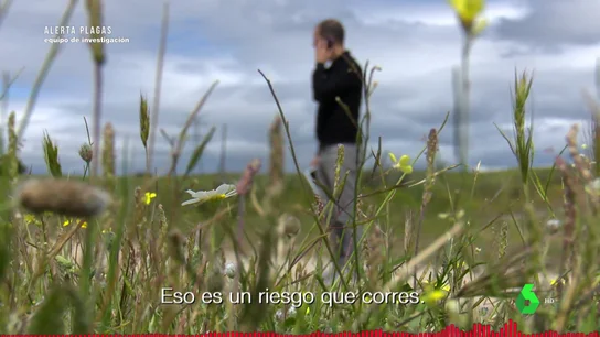 Así funciona el mercado negro de venta de conejos a cotos de caza: "Te pueden pedir 1.000 todas las semanas" Así funciona el mercado negro de venta de conejos a cotos de caza: "Te pueden pedir 1.000 todas las semanas"
