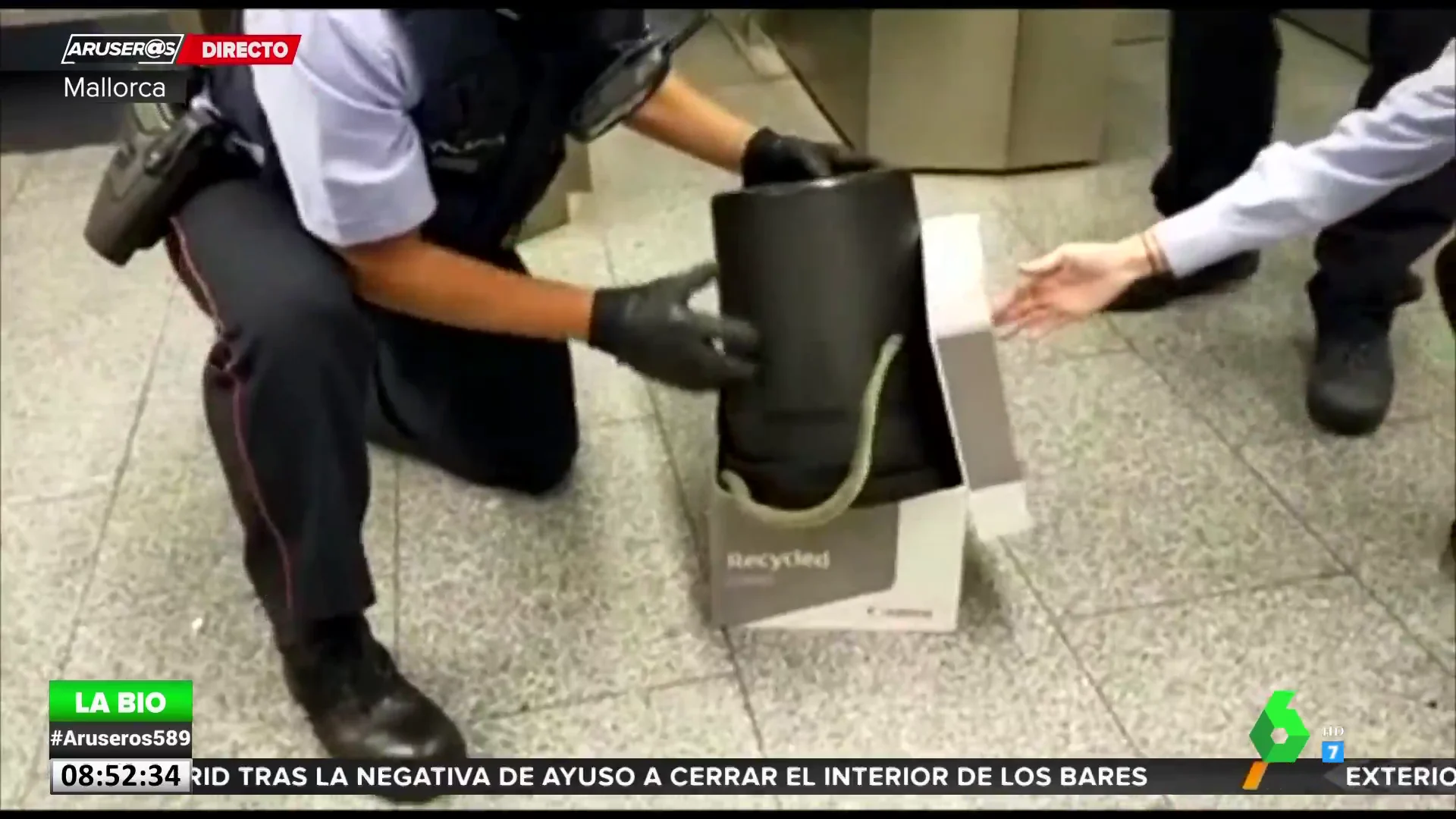 El momento en el que una serpiente irrumpe en una estación del Metro de Barcelona