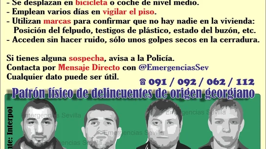 El patrón físico de los ladrones de viviendas de Sevilla El patrón físico de los ladrones de viviendas de Sevilla