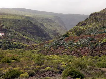 Barranco de Guayadeque Barranco de Guayadeque