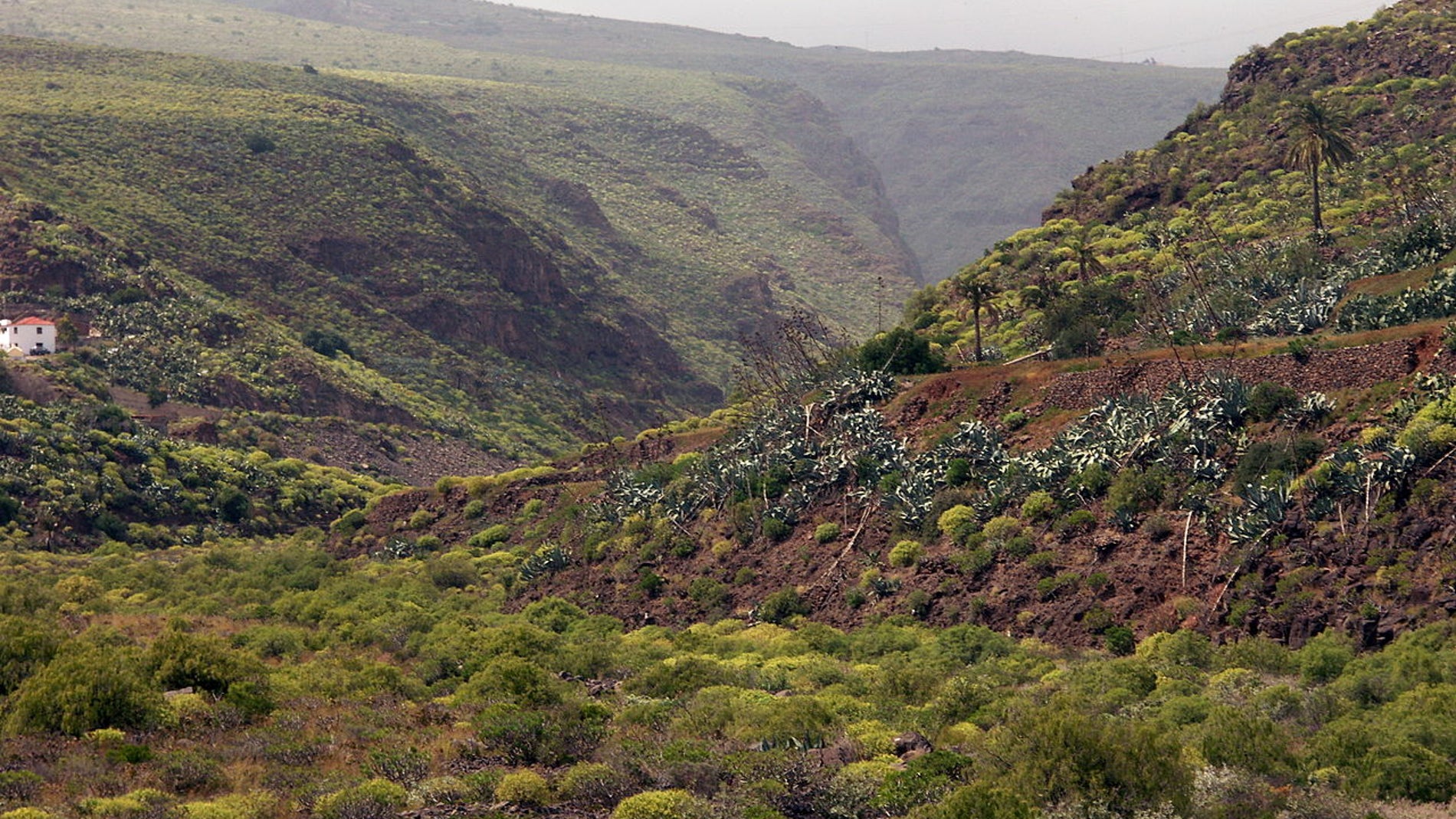 Barranco de Guayadeque