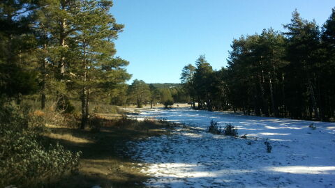 Bronchales. Teruel