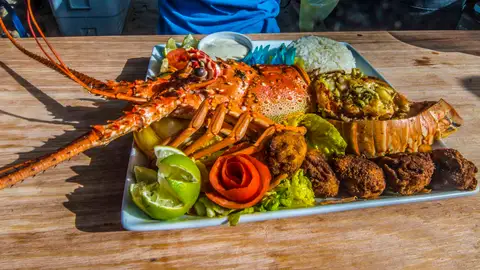 Langosta. Belice Langosta. Belice