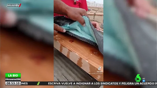 PESCADO AZUL PESCADO AZUL