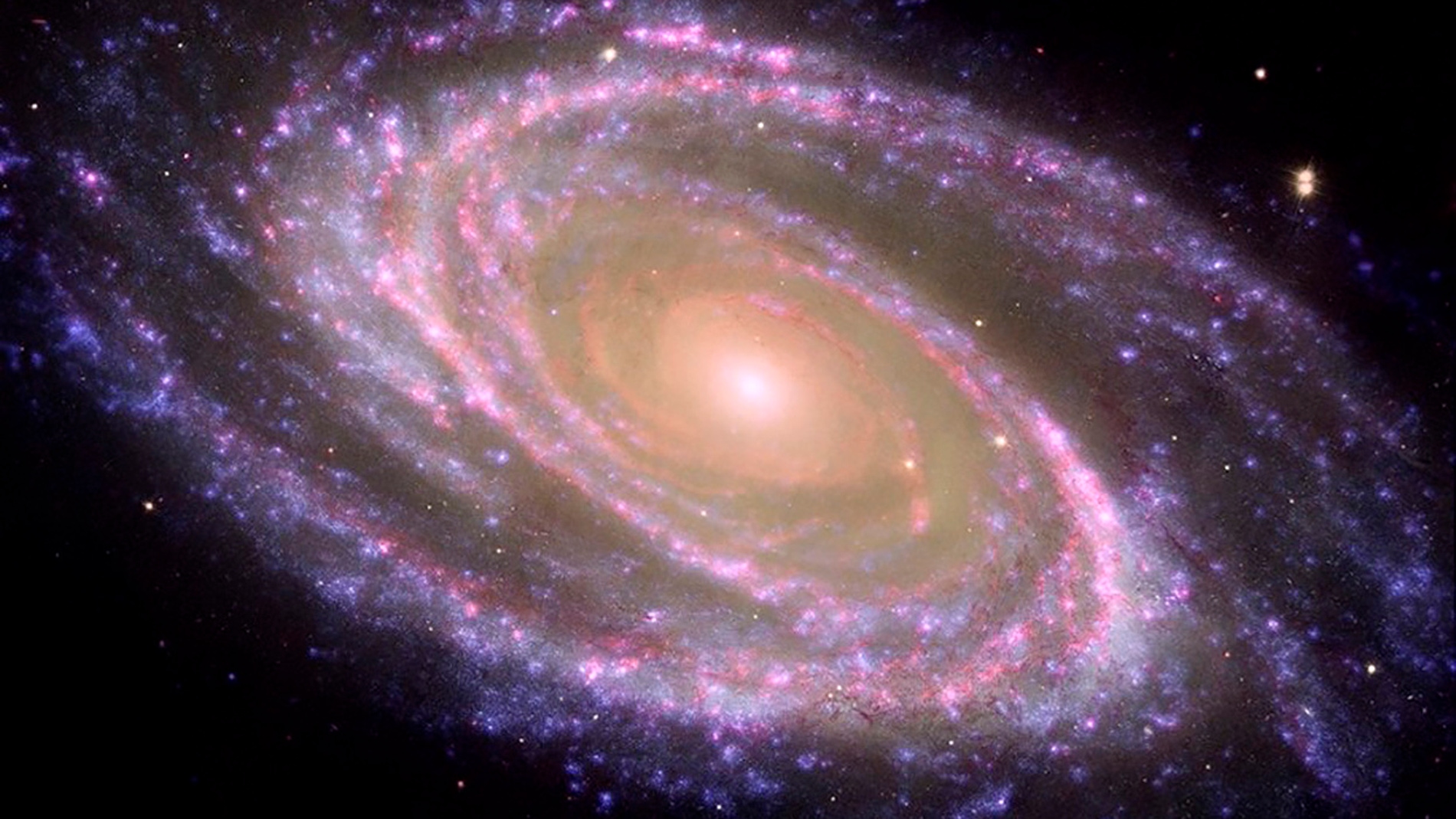 Ejemplo de galaxia espiral cercana, M81, donde se identifica el bulbo (la parte central rojiza) y el disco (