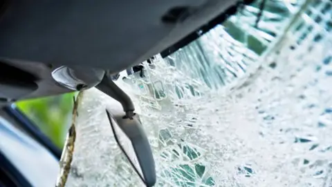 Efecto elefante La importancia del cinturón de seguridad