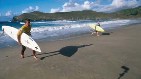 Pantin Classic