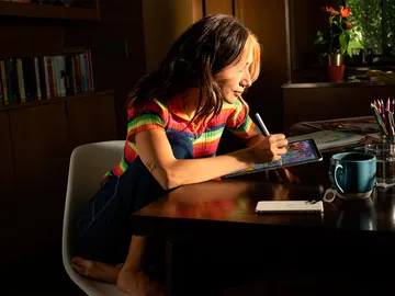 iPad iPad